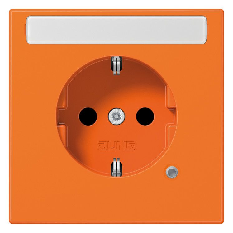Jung LS 1520 BFNAKO O SCHUKO-Steckdose 16A 250V Berührungs.- schutz SF