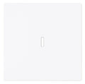 BJ 1789 N-44G Wippe m.transparenter Kalotte