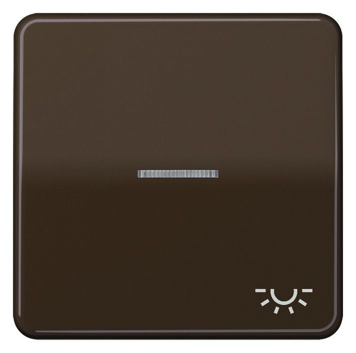Jung CD590KO5LBR Wippe Symbol Licht m.Lichtleiter braun