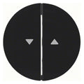 Berker 16252045 Wippe m.Aufdruck Symbol Pfeil R.1/R.3 schwarz glänzend