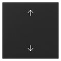 GIRA 3616005 Wippe Pfeile System 55 Schwarz m