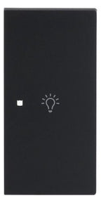 BJ 6231-22-45M Wippe 2-fach rechts m.Symbol "Licht"