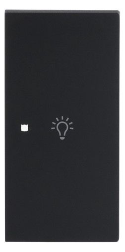 BJ 6231-22-45M Wippe 2-fach rechts m.Symbol "Licht"
