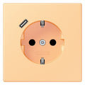 Jung LC1520-18C258 SCHUKO-Steckd.m.USB Typ C LC4320P