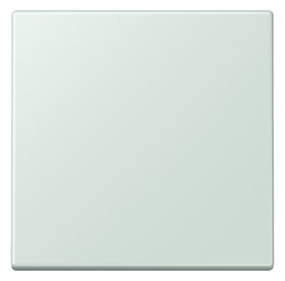 Jung LC101215 Wippe f.KNX Taster 1fach LC32034