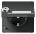 Jung AL 1520 NAKLSL AN SCHUKO-Steckdose 16A 250V Berührungs.- schutz Klappd.SF