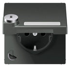 Jung AL 1520 NAKLSL AN SCHUKO-Steckdose 16A 250V Berührungs.- schutz Klappd.SF