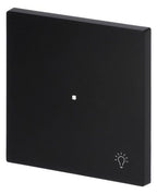 BJ 6231-10-45M Wippe 1-fach m.Symbol "Licht"