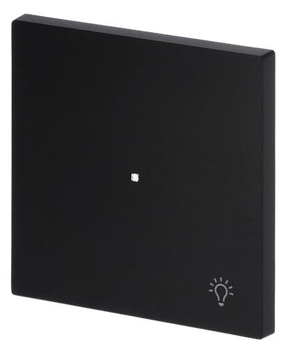 BJ 6231-10-45M Wippe 1-fach m.Symbol "Licht"