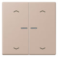 Jung LC102KO5P240 Wippe m.Lichtleiter u. Pfeilsymbolen