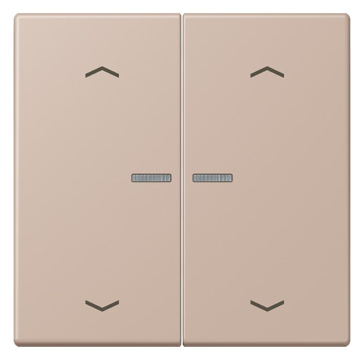 Jung LC102KO5P240 Wippe m.Lichtleiter u. Pfeilsymbolen