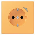 Jung BTLC1521S254 JUNG HOME SCHUKO Steckdose LC4320L