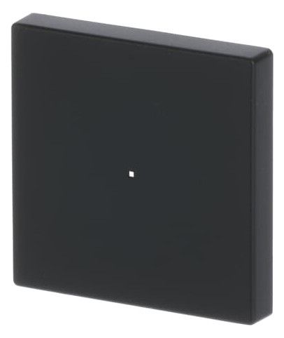 BJ 6230-10-885 Wippe 1f schwarz matt Busch-free@home future linear