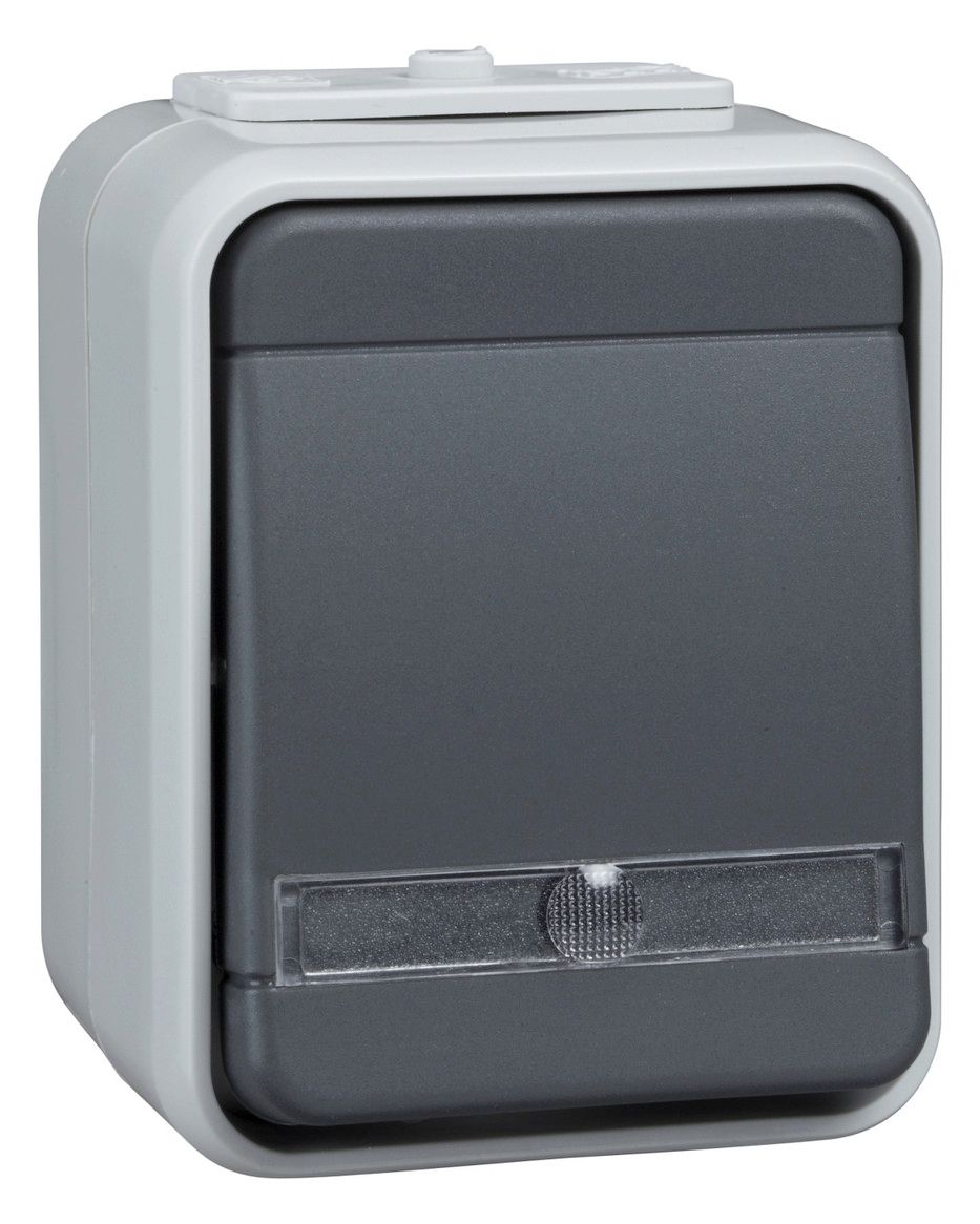 Elso ELG442619 Taster beleuchtet separatem N-Leit 10A AquaTop basaltgrau