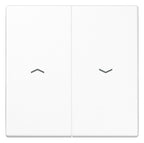 Jung SPLS995PWW Wippe m.Symbol f.Jalousie