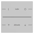 GIRA 5762015 Wippenset 2fach indiv. Tastsensor4 System 55 Grau matt (lack.)