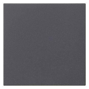 GIRA 537228 Wippe 1fach unbedruckt System 55 Anthrazit