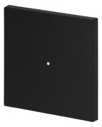 BJ 6230-10-45M Wippe 1-fach neutral o.Bedruckung
