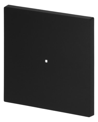 BJ 6230-10-45M Wippe 1-fach neutral o.Bedruckung