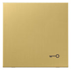 Jung ME2990TC Wippe Symbol Tür LS Messing classic