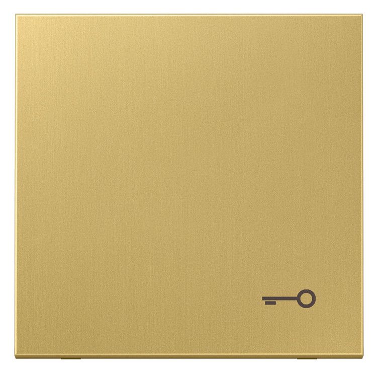 Jung ME2990TC Wippe Symbol Tür LS Messing classic