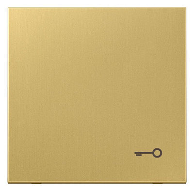 Jung ME2990TC Wippe Symbol Tür LS Messing classic