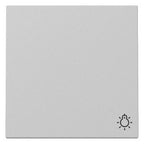 GIRA 3285015 Wippe Symbol Licht System 55 Grau matt (lackiert)