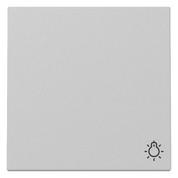 GIRA 3285015 Wippe Symbol Licht System 55 Grau matt (lackiert)