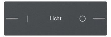 GIRA 862328 Wippe Wippenset 3f indiv.Tastsens.4.55 Anthrazit