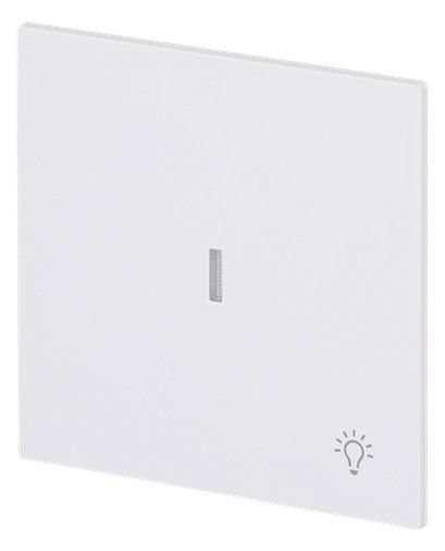BJ 1789 LI-44M Wippe m.Symbol "Licht" m. transparenter Kalotte
