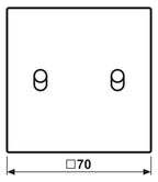 Jung ES12-5R1 Abdeckung 1fach m.2 Kipphebeln