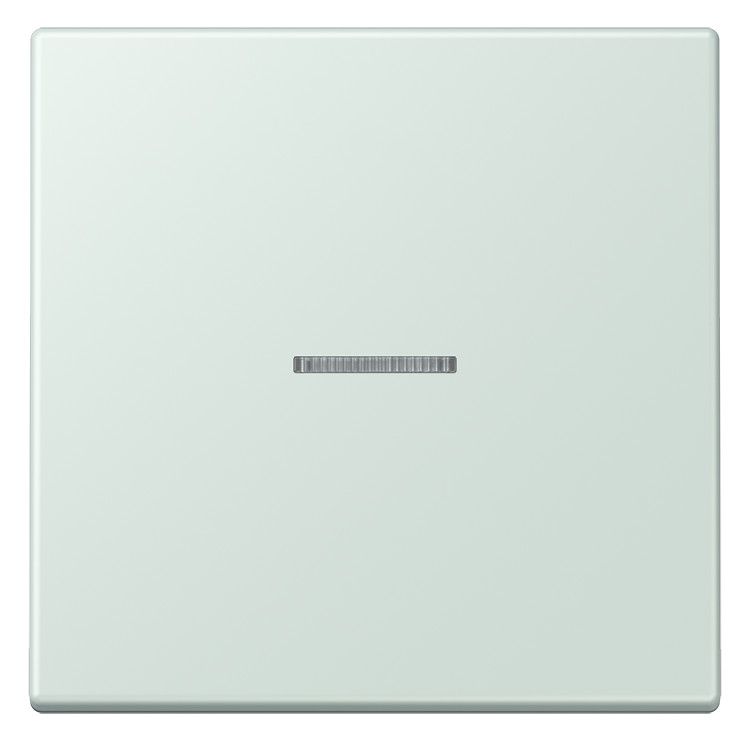 Jung LC990KO5215 Wippe f.Schalter/Taster KO LC32034