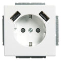 BJ 20 EUCB2USB-84 SCHUKO-/2x USB-Steckdose