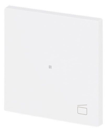 BJ 6233-10-44M Wippe 1-fach m.Symbol "Szene"