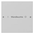 GIRA 2201015 Wippenset 1fach beschreib. System 55 Grau matt (lackiert)