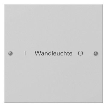 GIRA 2201015 Wippenset 1fach beschreib. System 55 Grau matt (lackiert)