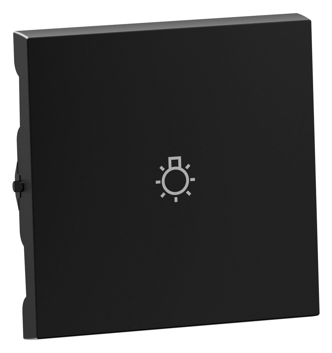 Legrand 765313 SEANO Wippe m.Symbol Licht in der Farbausführung sw lackiert