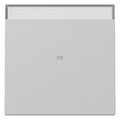 GIRA 3670015 Wippe Kontrollfenster+BSF System 55 Grau matt (lackiert)