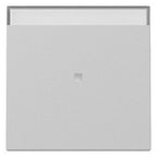 GIRA 3670015 Wippe Kontrollfenster+BSF System 55 Grau matt (lackiert)
