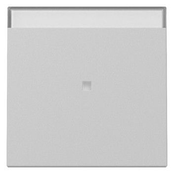 GIRA 3670015 Wippe Kontrollfenster+BSF System 55 Grau matt (lackiert)