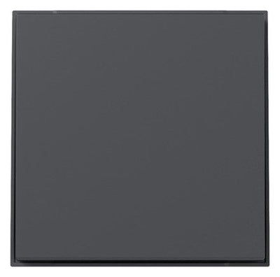GIRA 349667 Wippe gerade TX_44 Anthrazit