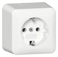 GIRA 444013 SCHUKO-Steckdose AP m.Montageplatte Reinweiß
