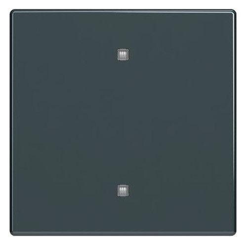 BJ 2570-10-81 Wippe Elektroniktaster