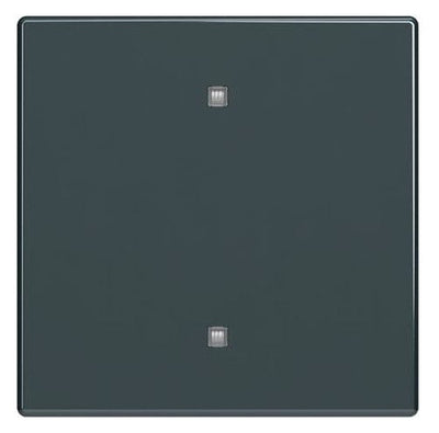 BJ 2570-10-81 Wippe Elektroniktaster