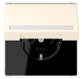 Jung LC1520BFNAKL245 SCHUKO-Steckd.KI m. Klappdeckel m.S