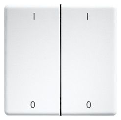 Eltako DW-FT55-wg+IO Doppelwippen 55er Design+E-Design55 reinweiß gl.30000987