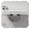 Jung CD 1520 NAKLSL LG SCHUKO-Steckdose 16A 250V Berührungs.- schutz Klappd.SF