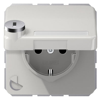 Jung CD 1520 NAKLSL LG SCHUKO-Steckdose 16A 250V Berührungs.- schutz Klappd.SF