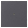 GIRA 537128 Wippe 1fach unbedruckt KF System 55 Anthrazit