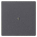 GIRA 537128 Wippe 1fach unbedruckt KF System 55 Anthrazit